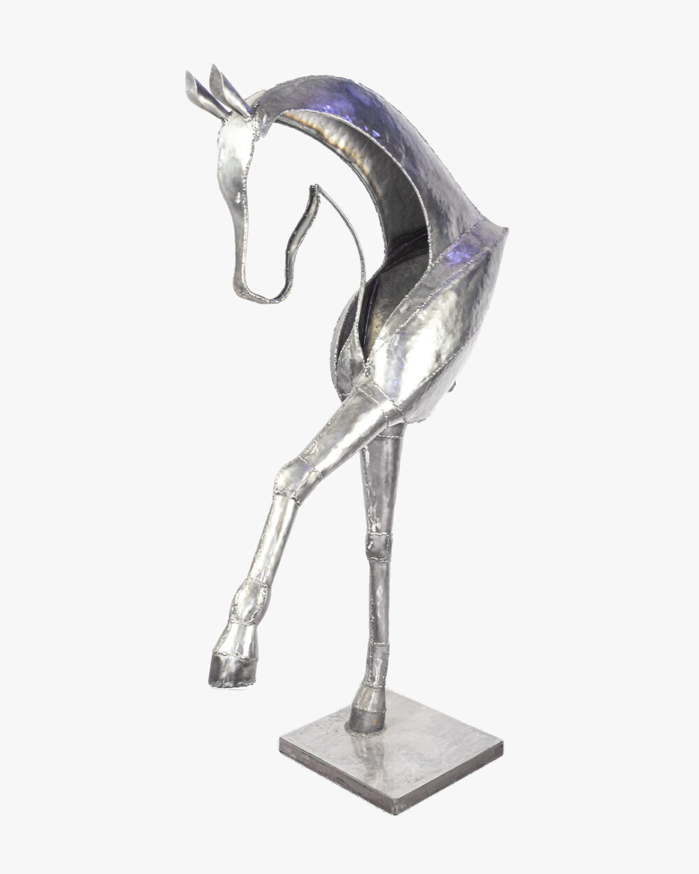 Caballo Esencia Vacía